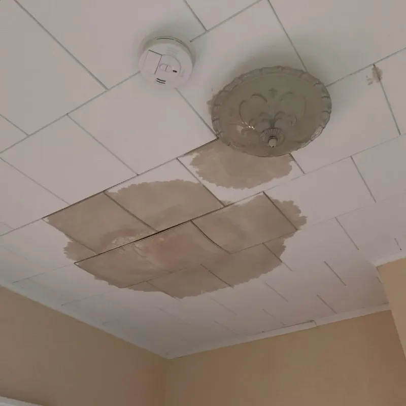 Ceiling Water Damage Repair in Wellsville, MO