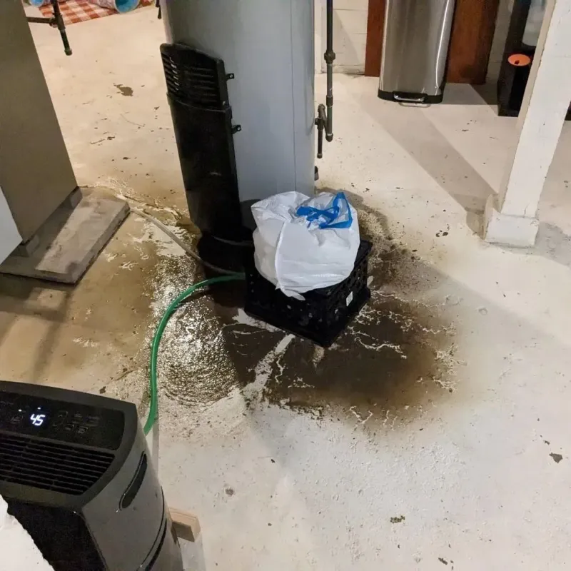 Sewage Backup Cleanup Service in Wellsville, MO